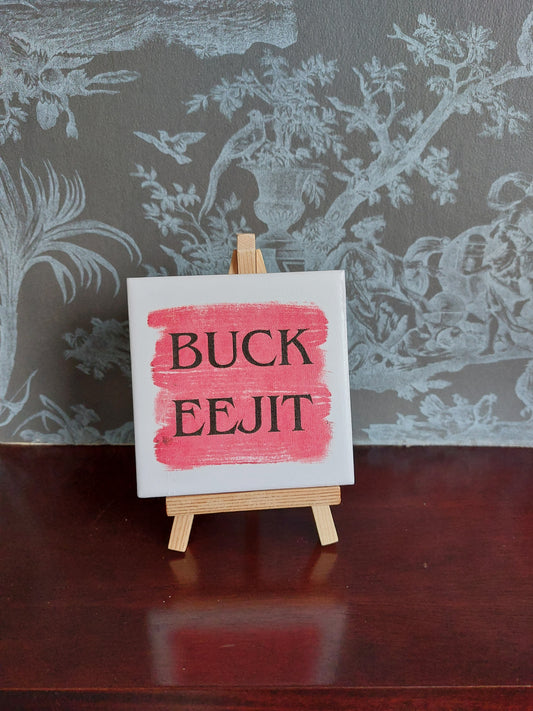 Buck Eejit Slogan Coaster