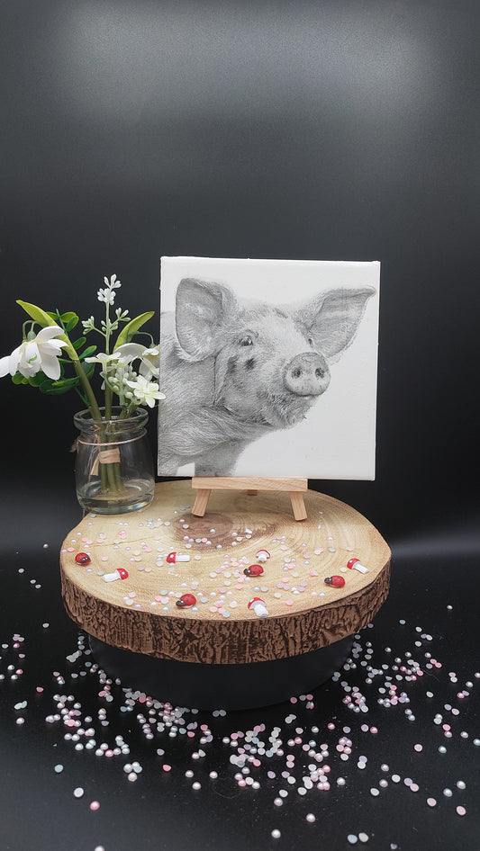 Grey Pig Decorative Tile
