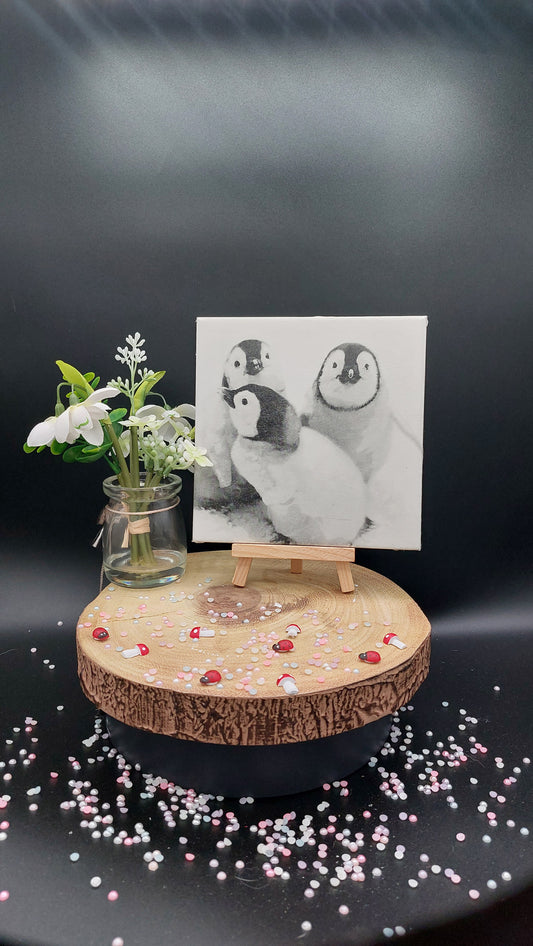 3 Penguin Decorative Tile